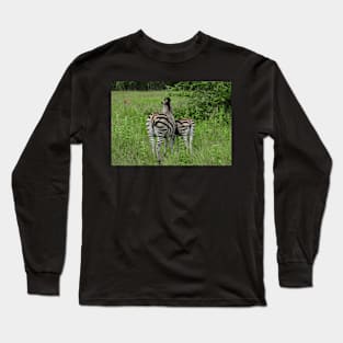 Zebra stripes Long Sleeve T-Shirt